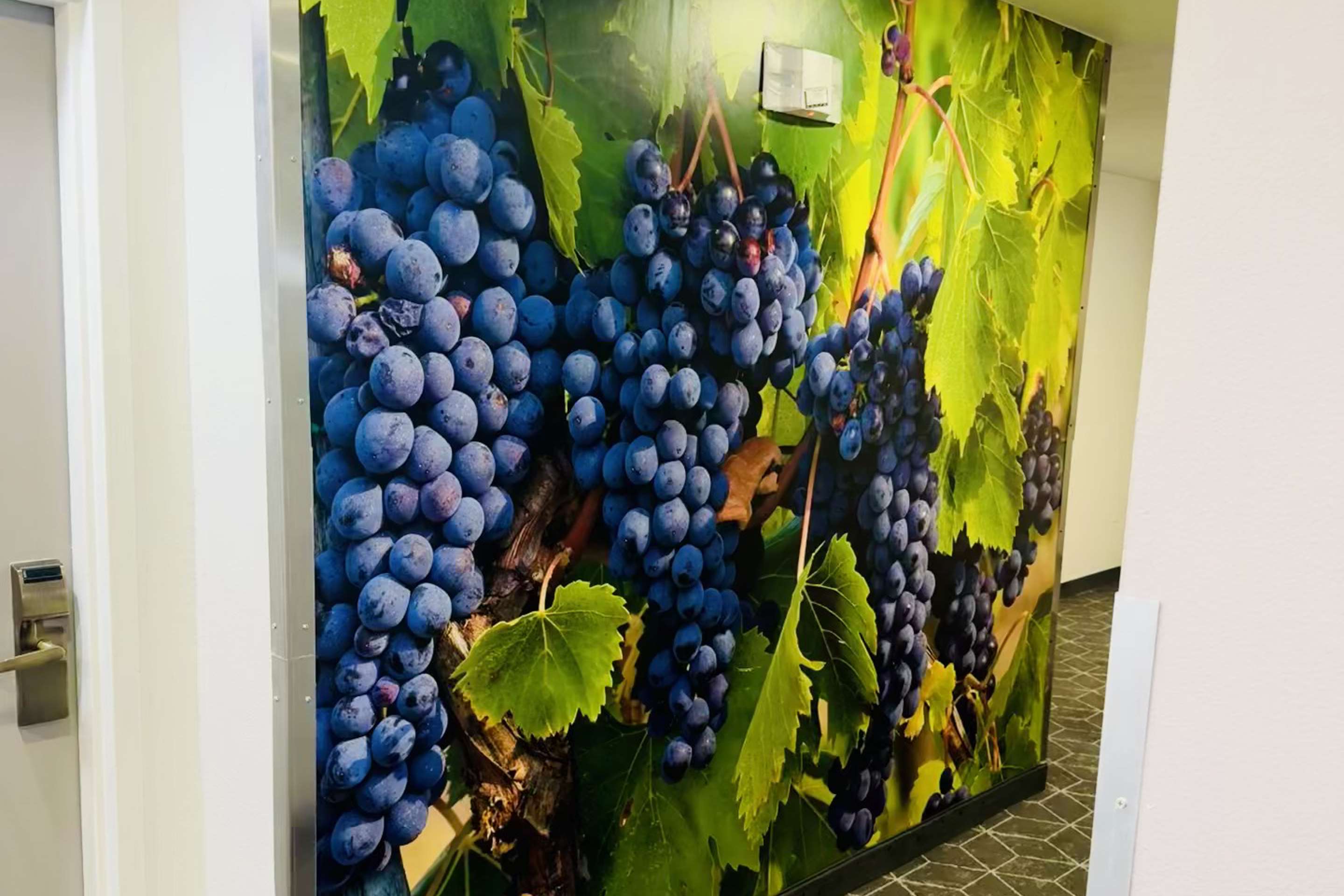 Lobby Mural | Sleep Inn & Suites Albemarle