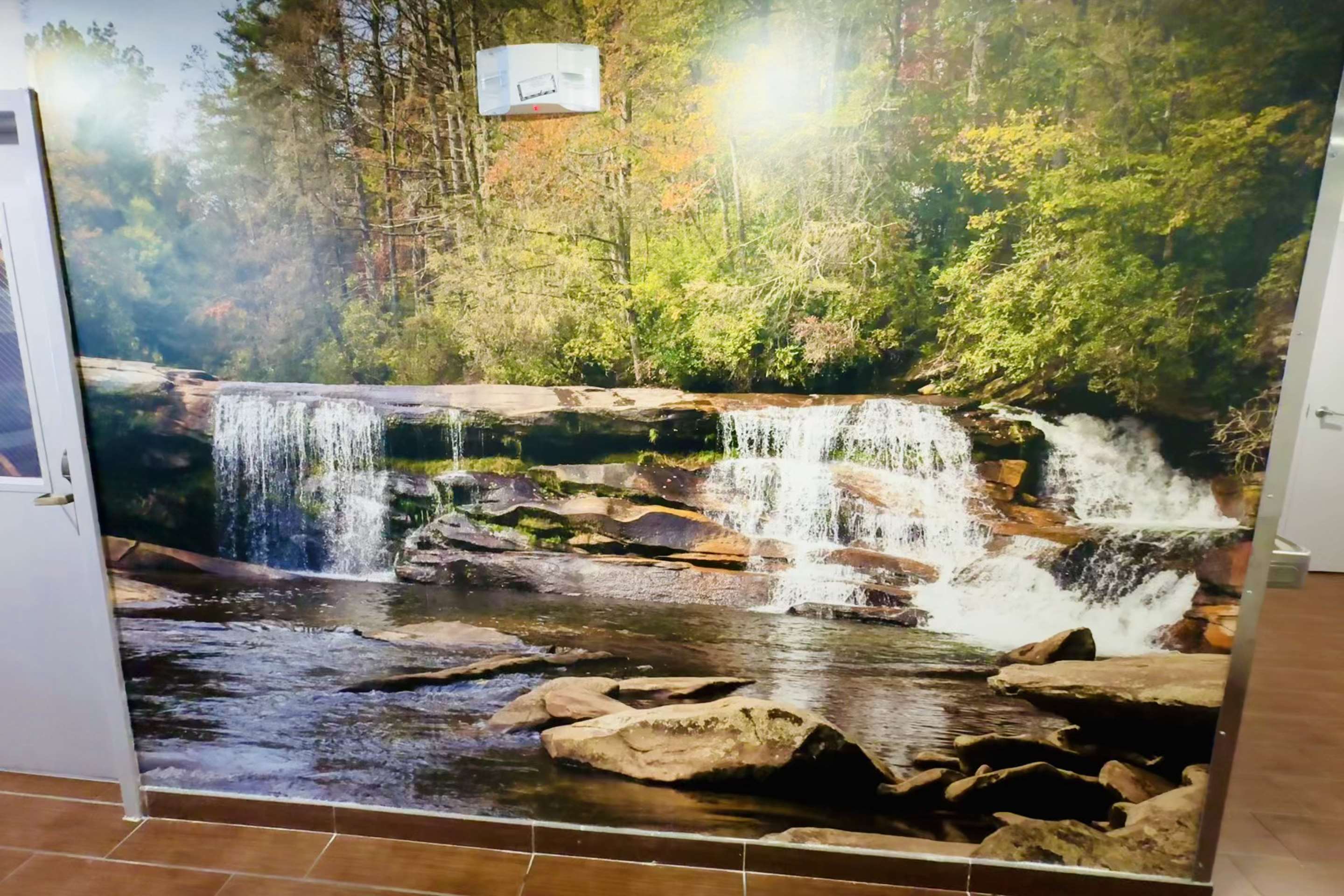 Lobby Mural | Sleep Inn & Suites Albemarle