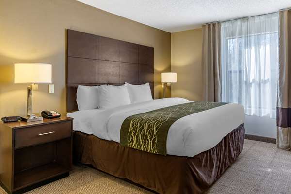 Suite - Comfort Inn Clinton
