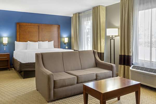 Suite - Comfort Inn Garner - I-40, Exit 312