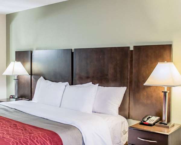 Suite - Quality Inn South Raleigh - I-40, Exit 298A