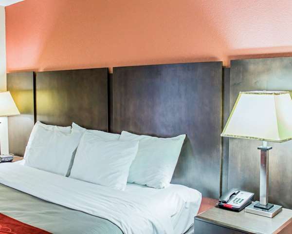 Suite - Quality Inn South Raleigh - I-40, Exit 298A