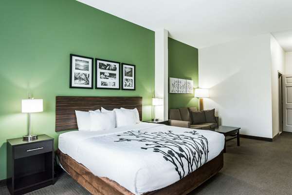 Suite - Sleep Inn & Suites Smithfield - I-95, Exit 95