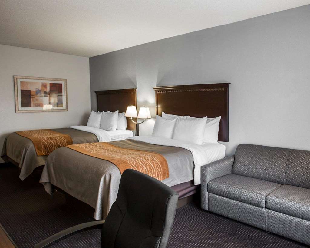 COMFORT INN AND SUITES LUMBERTON CE-guestroom-Guest Room,Suite,On-Site.jpg