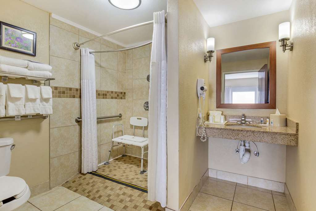 COMFORT SUITES WILSON I-95-guestroom-Guest Room,Bathroom,On-Site.jpg