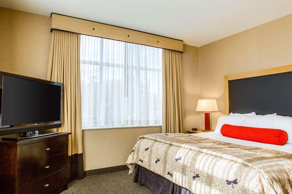 Suite - Cambria Hotel Raleigh Durham Airport Morrisville - I-40, Exit 284