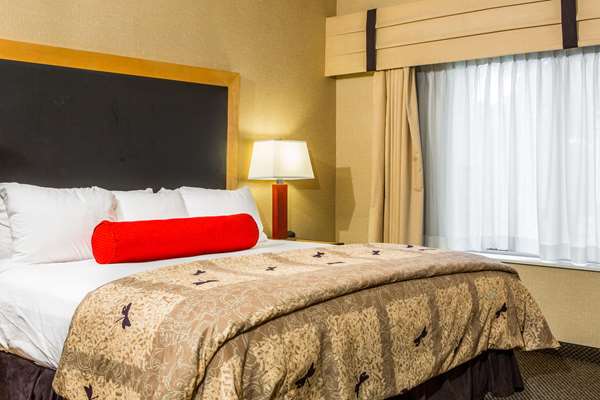 Suite - Cambria Hotel Raleigh Durham Airport Morrisville - I-40, Exit 284