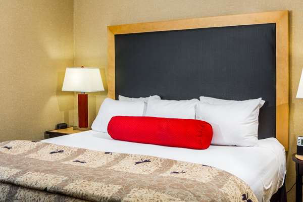 Suite - Cambria Hotel Raleigh Durham Airport Morrisville - I-40, Exit 284