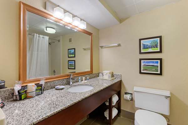  - Comfort Inn Medical Park Durham - I-85, Exit 174B