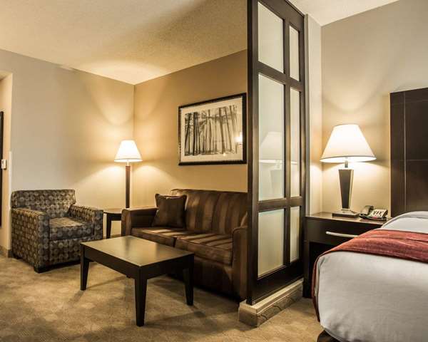 Suite - Comfort Suites Huntersville - I-77, Exit 23