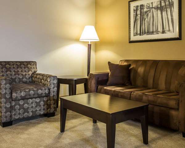 Suite - Comfort Suites Huntersville - I-77, Exit 23