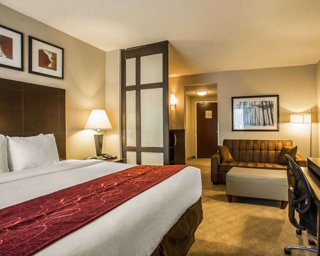 COMFORT SUITES HUNTERSVILLE NEAR LA-guestroom-Guest Room,Suite,On-Site.jpg