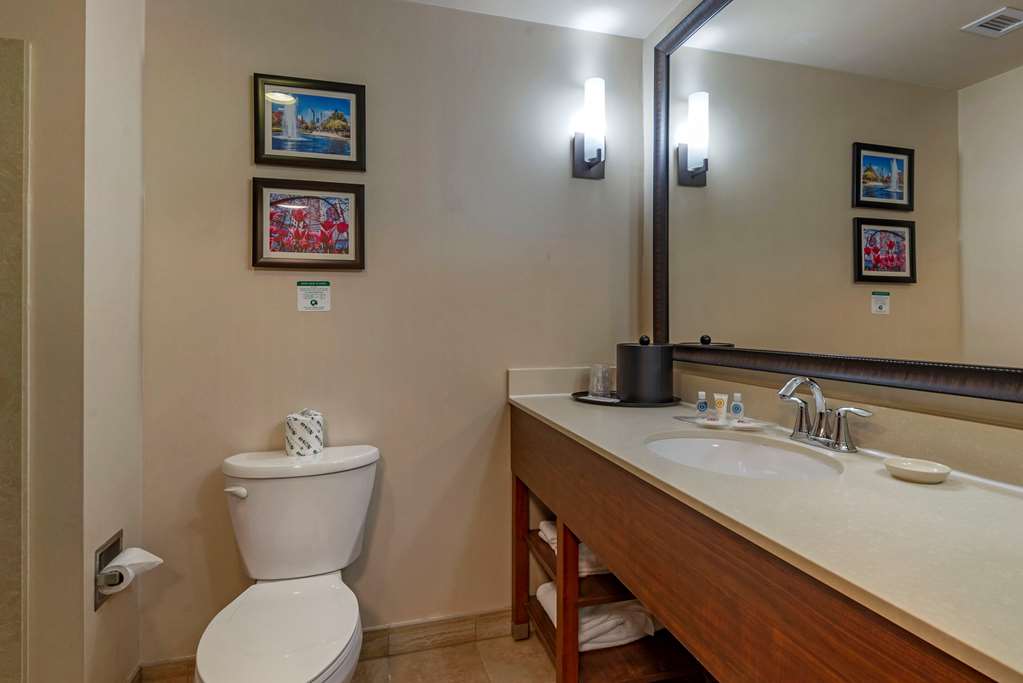 COMFORT SUITES HUNTERSVILLE NEAR LA-guestroom-Guest Room,Bathroom,On-Site.jpg