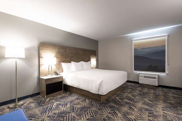 Suite - Rodeway Inn & Suites Asheville - I-26, Exit 33