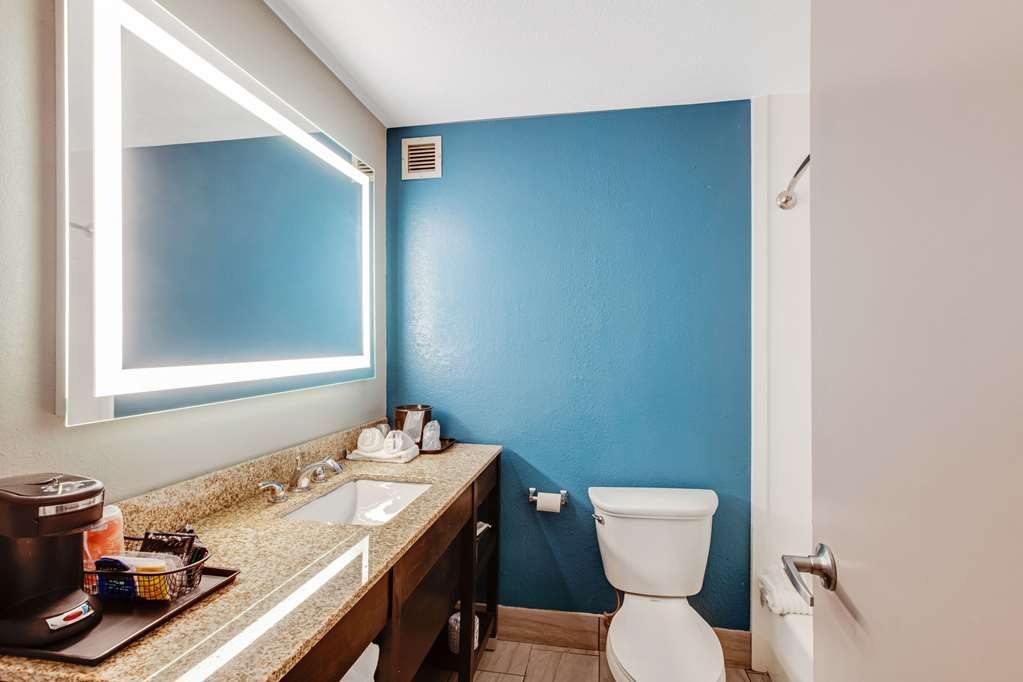 CLARION INN ASHEVILLE AIRPORT-guestroom-Guest Room,Bathroom,On-Site.jpg