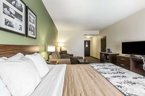 Suite - Sleep Inn & Suites Mount Olive