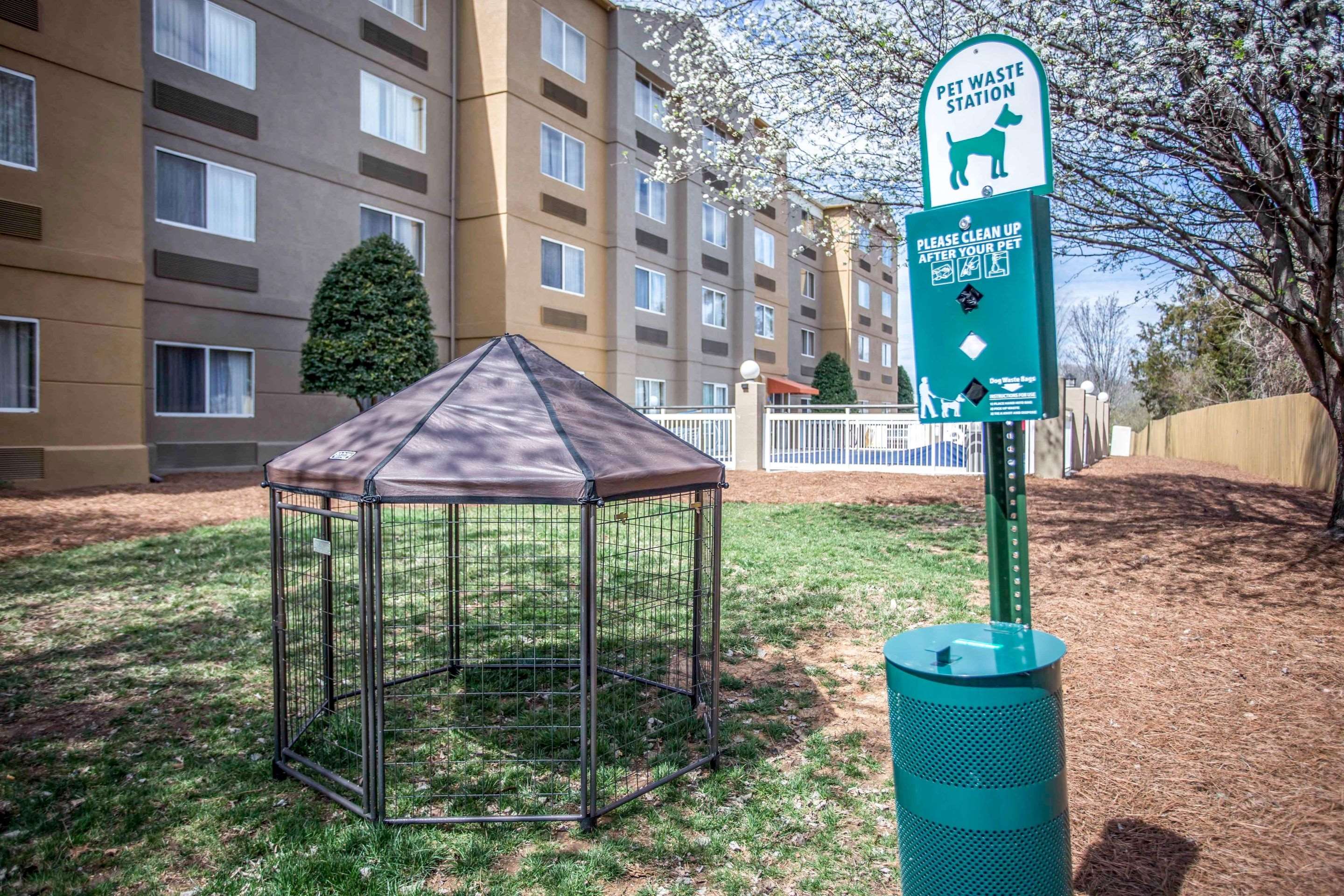 Pet friendly area | Comfort Inn & Suites Kannapolis - Concord