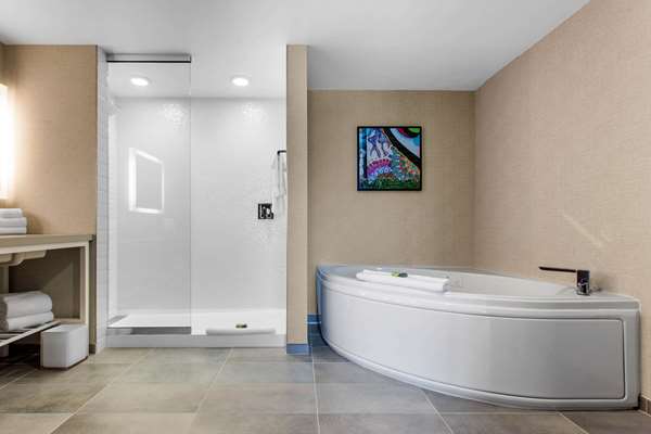  - Cambria Hotel Downtown Asheville - I-240, Exit 4C