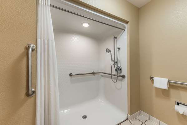 Suite - Quality Inn & Suites Flat Rock - I-26, Exit 53