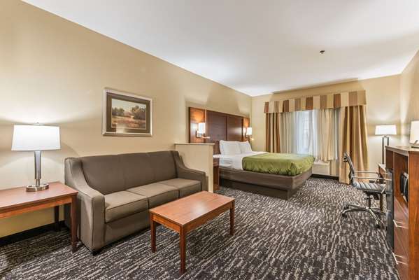 Suite - Quality Inn & Suites Flat Rock - I-26, Exit 53