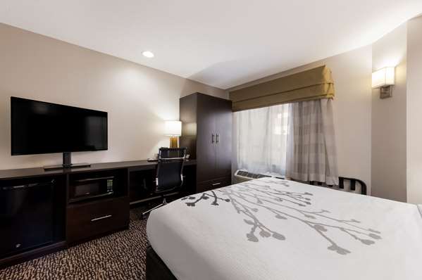  - Sleep Inn Kernersville - I-40, Exit 203