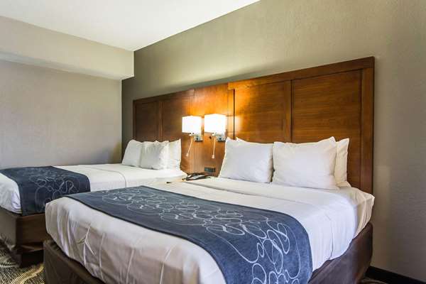 Suite - Comfort Suites Pineville - I-485, Exit 64