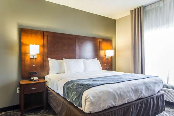 Suite - Comfort Suites Pineville - I-485, Exit 64