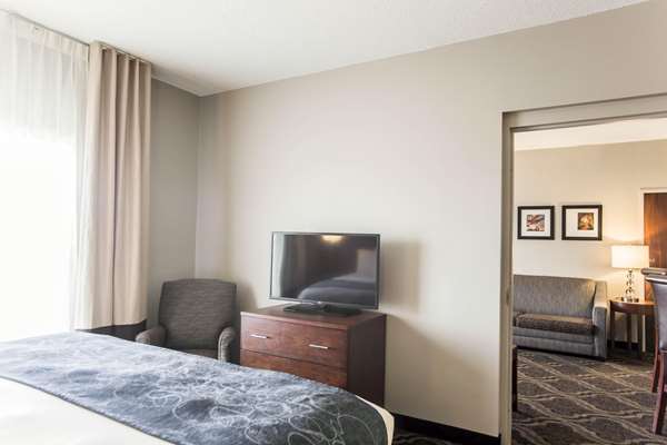 Suite - Comfort Suites Pineville - I-485, Exit 64