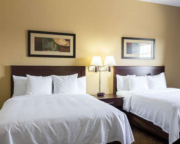 Suite - MainStay Suites Minot
