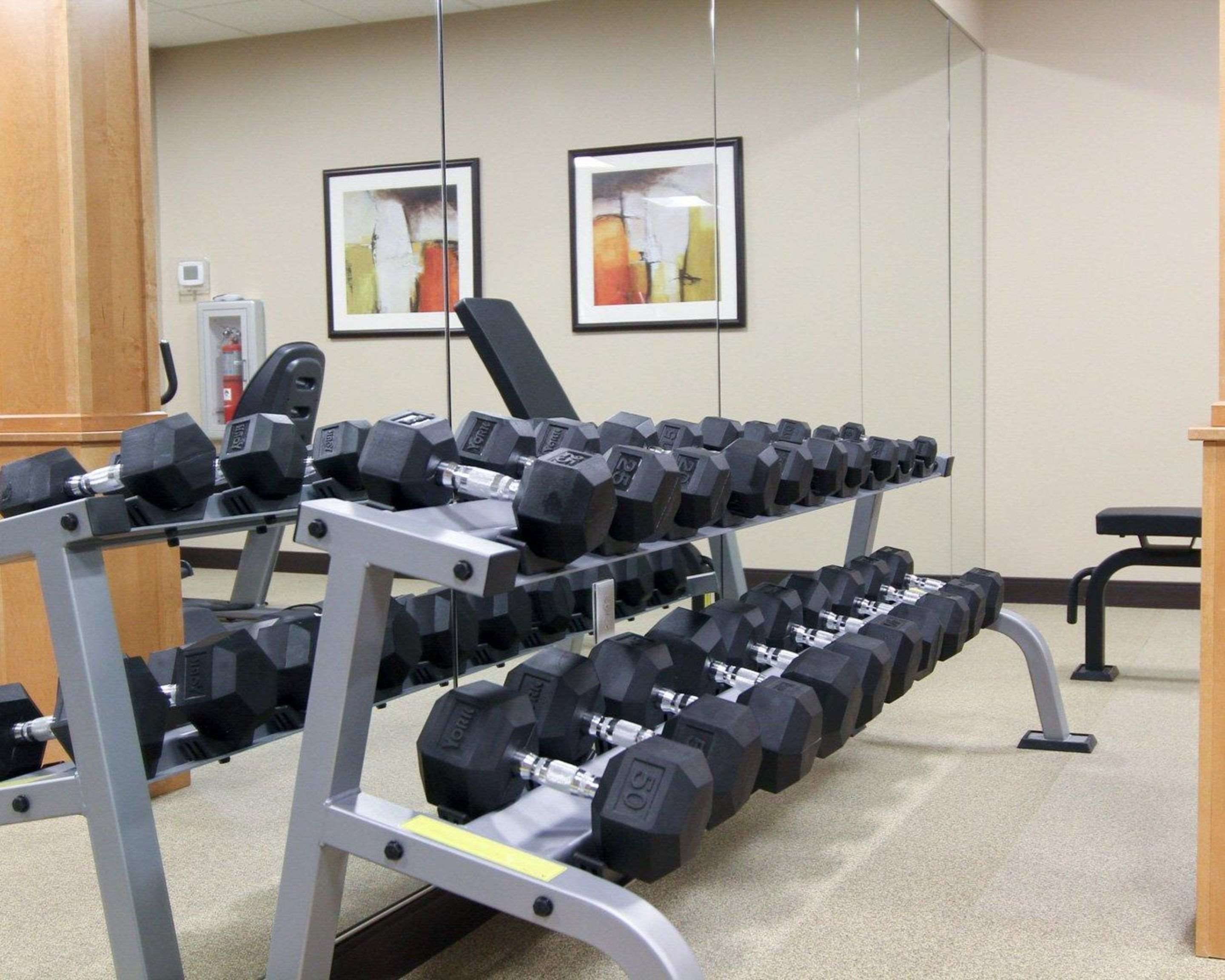 Fitness center with free weights | MainStay Suites Tioga