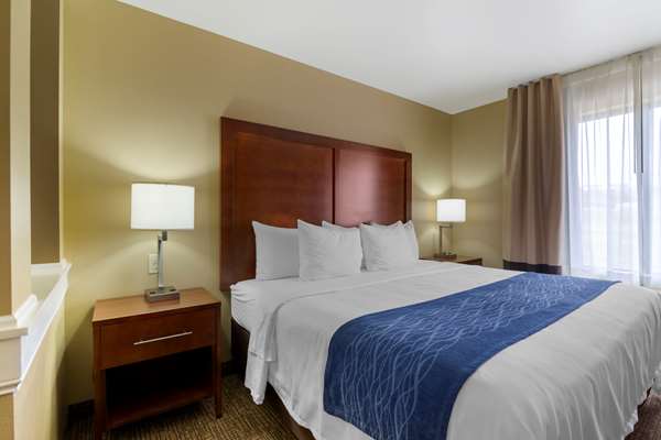 Suite - Comfort Inn & Suites Mandan - I-94, Exit 152