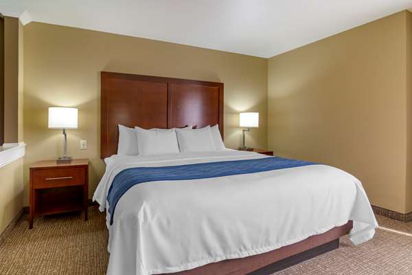 Suite - Comfort Inn & Suites Mandan - I-94, Exit 152