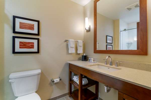 Suite - Comfort Inn & Suites Mandan - I-94, Exit 152