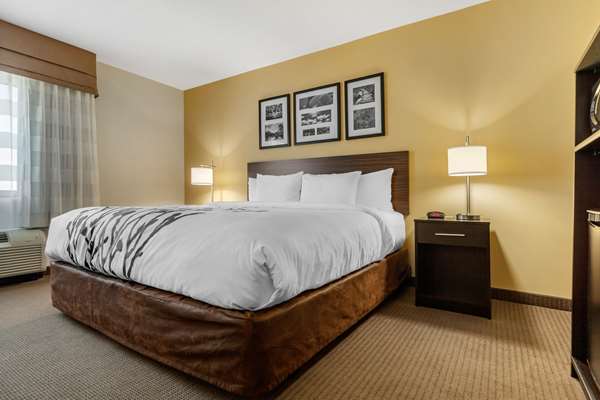 Suite - Sleep Inn & Suites Devils Lake
