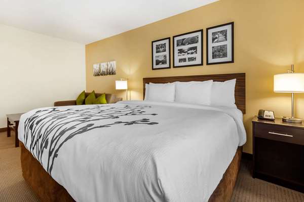 Suite - Sleep Inn & Suites Devils Lake