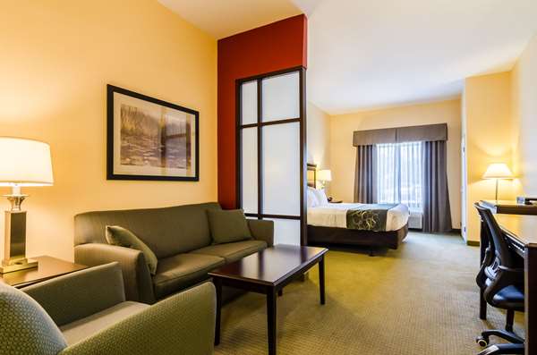  - Comfort Suites Gothenburg - I-80, Exit 211