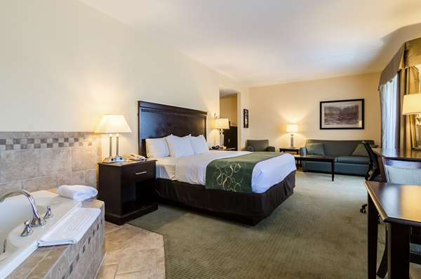 Suite - Comfort Suites Gothenburg - I-80, Exit 211