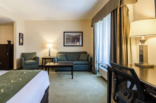 Suite - Comfort Suites Gothenburg - I-80, Exit 211