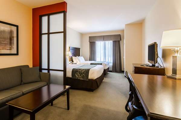Suite - Comfort Suites Gothenburg - I-80, Exit 211