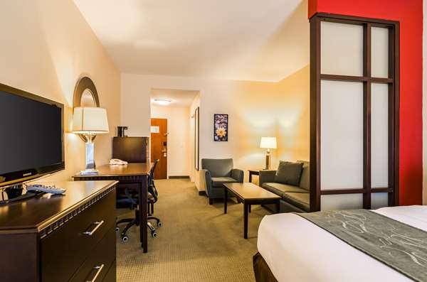 Suite - Comfort Suites Gothenburg - I-80, Exit 211