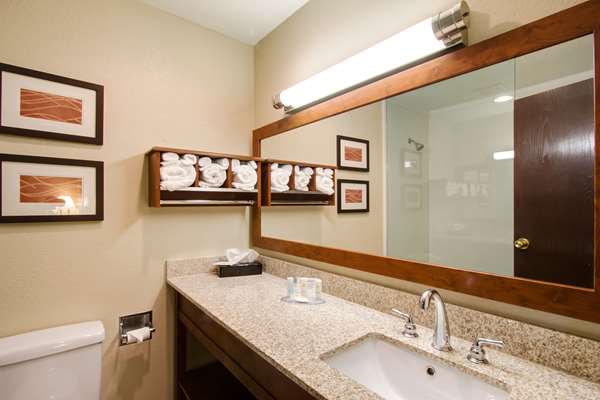  - Comfort Inn & Suites Bellevue