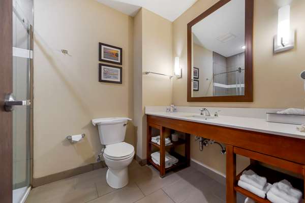 Suite - Comfort Suites La Vista - I-80, Exit 442