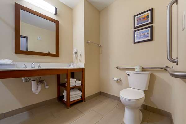 Suite - Comfort Suites La Vista - I-80, Exit 442