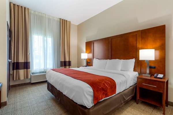 Suite - Comfort Suites La Vista - I-80, Exit 442