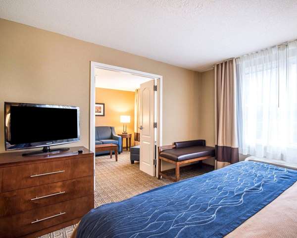 Suite - Comfort Inn & Suites Dover