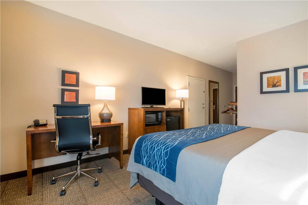 COMFORT INN CONCORD SOUTH END-guestroom-Guest Room,On-Site.jpg