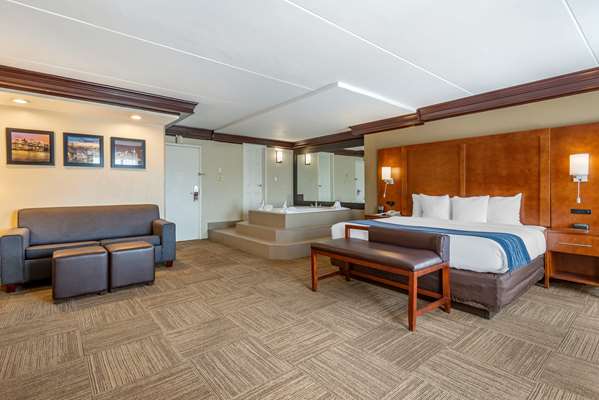 Suite - Comfort Inn Edgewater