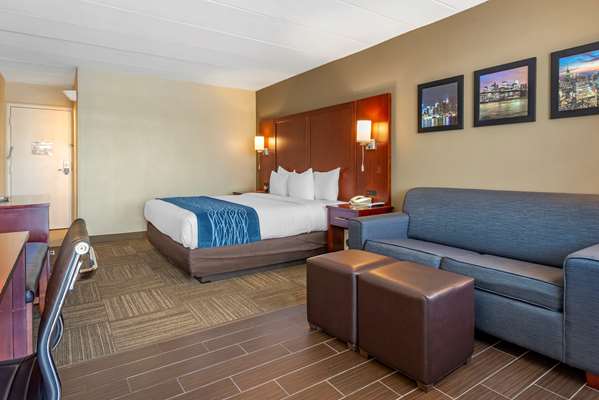 Suite - Comfort Inn Edgewater