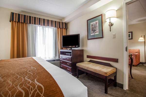 Suite - Comfort Inn & Suites Somerset