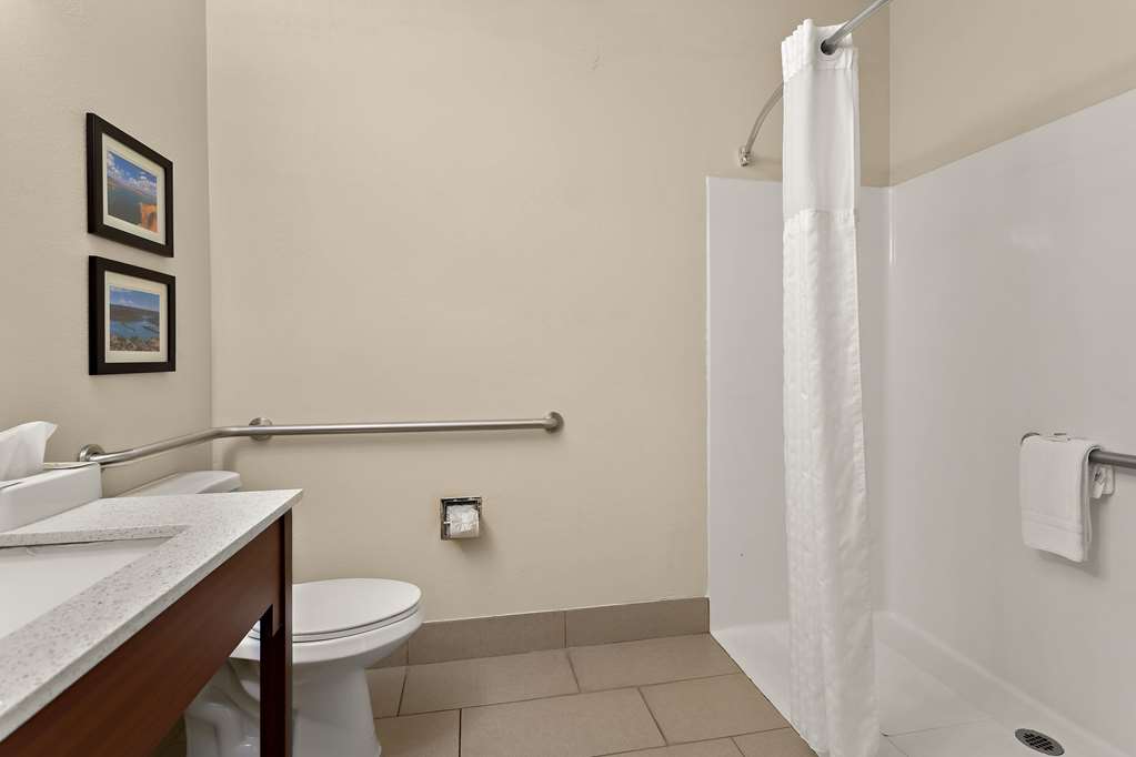 COMFORT SUITES UNIVERSITY-guestroom-Guest Room,Bathroom,On-Site.jpg